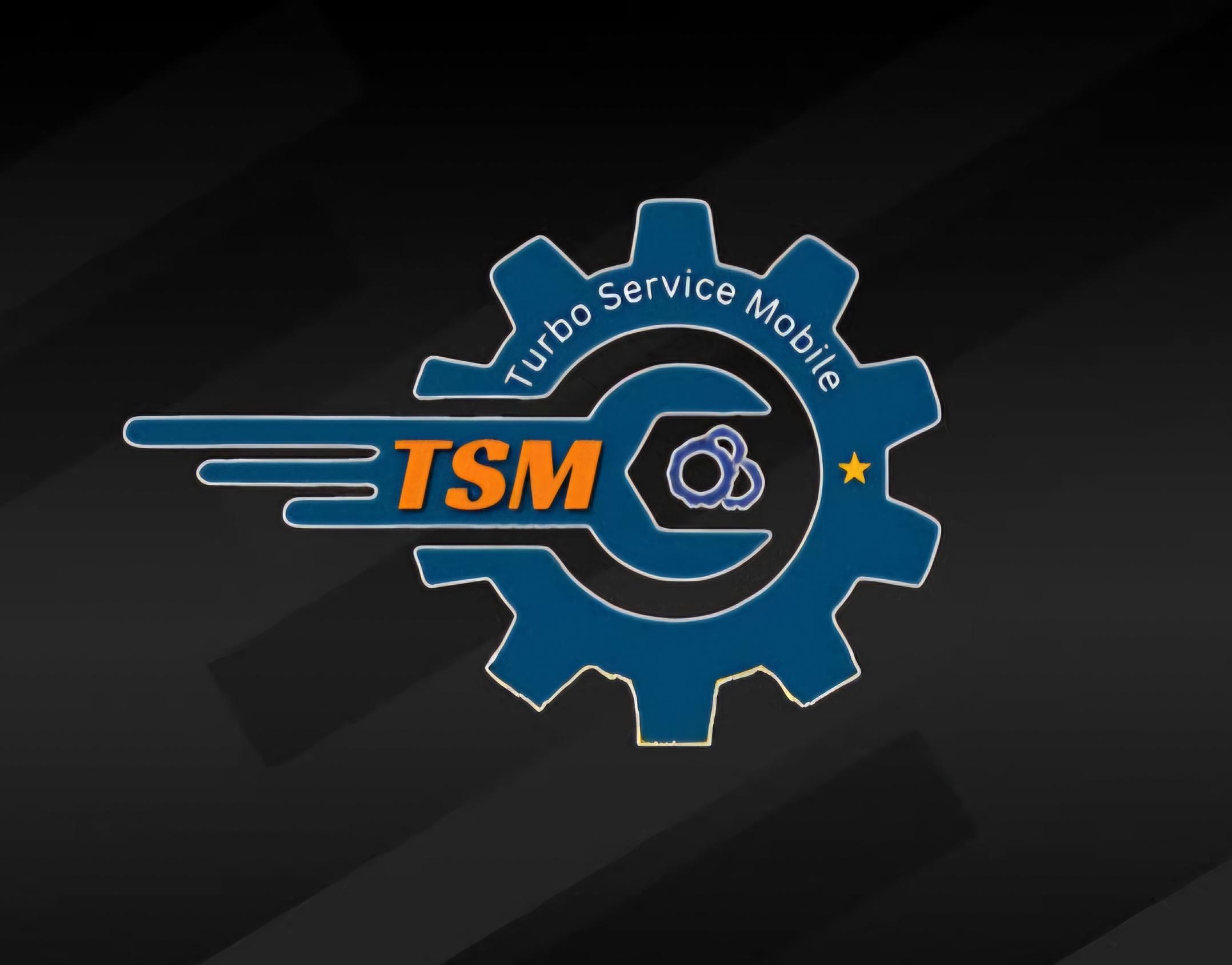 TSM Tool Pro Auth Server Credits ✅